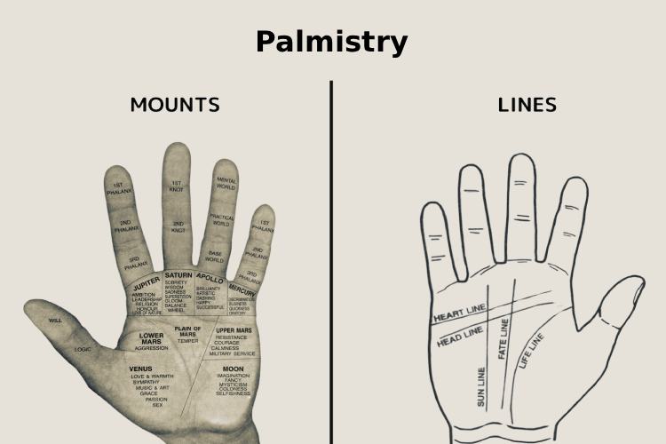Palmistry Palmistry